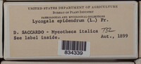 Image Associated With the Occurence
